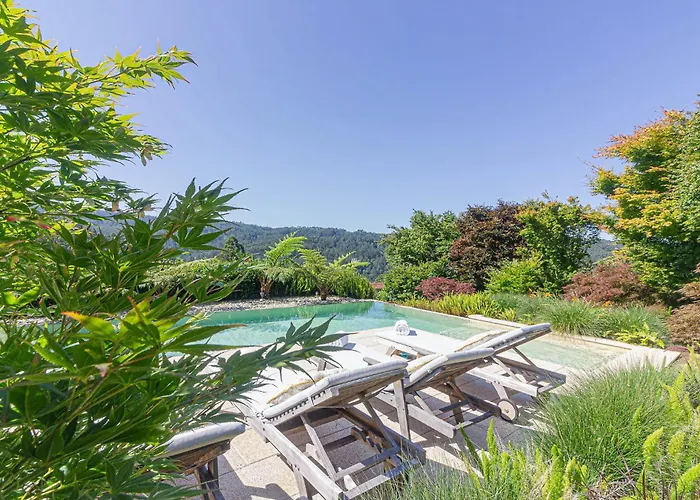 Elysian * ミーニョ